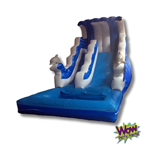 Dolphin Water Slide