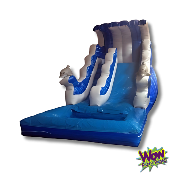Dolphin Water Slide