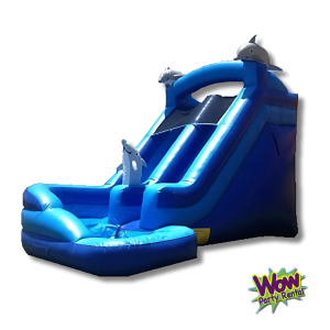 Mega Blue Dolphin Water Slide