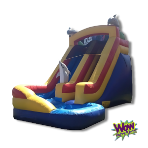Mega Dolphin Water Slide
